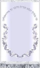 Aviv Silver Torah Mantel