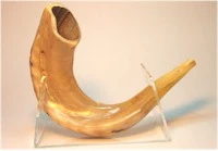 Shofar Medium